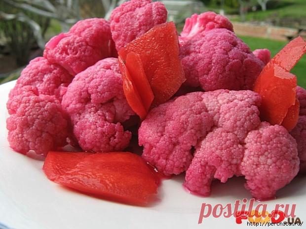 капуста | Записи в рубрике капуста | Дневник домоправительницы