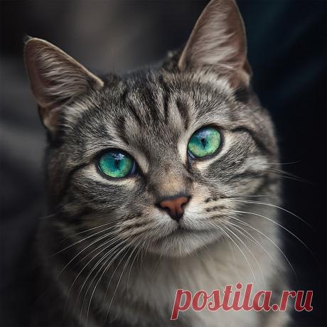 Вдохновение - OGADANIE.RU