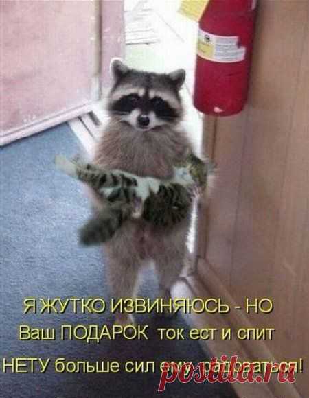 Живой подарок.