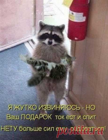 Живой подарок.