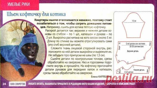 Шьем кофточку для котика
