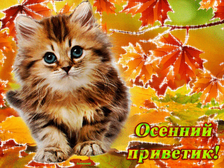 Google+