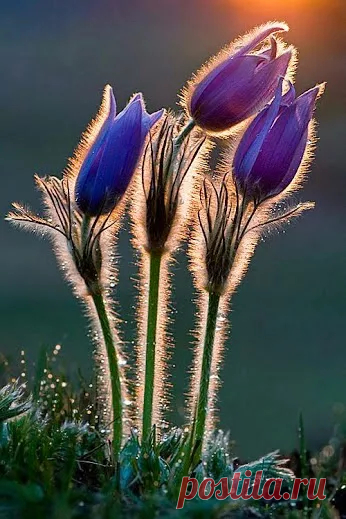 Мир ярких красок - Google+