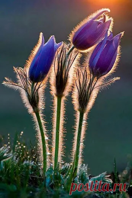 Мир ярких красок - Google+