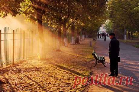 Животворящие лучи солнца