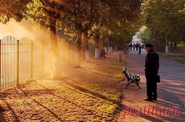 Животворящие лучи солнца