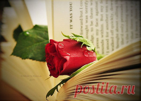 ♥ღ♥ЦИТАТЫ, СПОСОБНЫЕ ИЗМЕНИТЬ ЖИЗНЬ♥ღ♥.