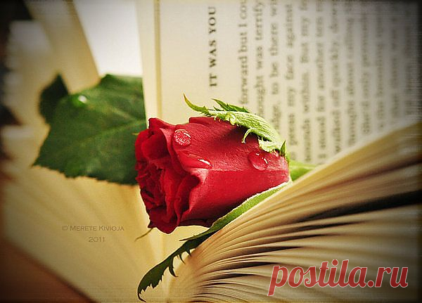 ♥ღ♥ЦИТАТЫ, СПОСОБНЫЕ ИЗМЕНИТЬ ЖИЗНЬ♥ღ♥.