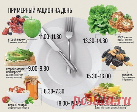 Примерный рацион на день