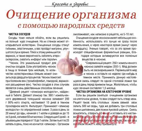 Очищение организма с помощью народных средств