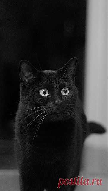 f/1.8 Pure concentration | Flickr - Photo Sharing!