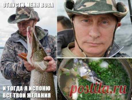 Владимир Путин. Все приколы интернета | ТопФотоПрикол