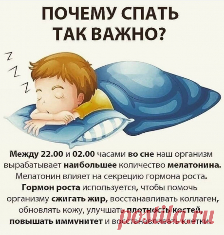 Почему спать так важно