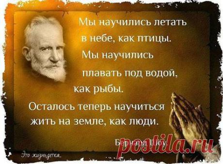 Курган и Курганцы
ЦИТАТА ДНЯ.