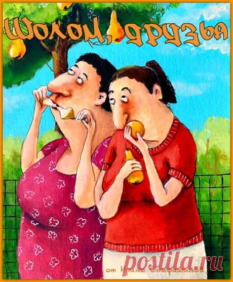 Шолом, друзья. Анекдоты от Сары Львовны и Майры Кугель. | Ирина Стефашина | Яндекс Дзен