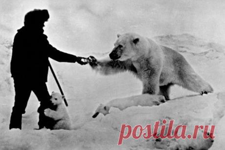 марина Вовк - Москва, Россия, 54 года на Мой Мир@Mail.ru
