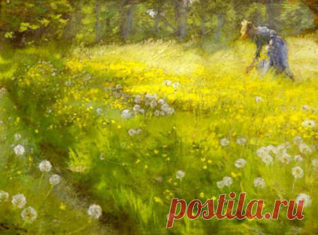 Одуванчики. Притча.