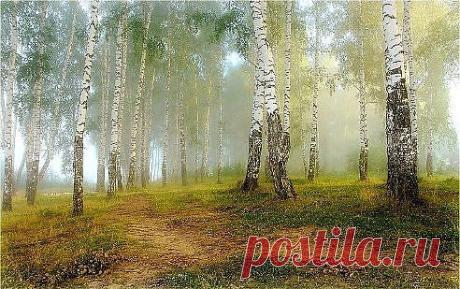 (45) Одноклассники
