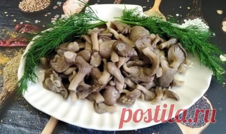 #Грибы вешенки. Рецепты соленых вешенок
- Вкусный способ ферментации вешенок
- Соленые вешенки аля Польский стиль
- Соленые вешенки холодным способом
- #Соленые_вешенки за сутки
- Соленые #вешенки пряные