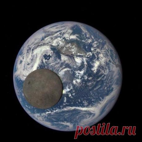 (53) Одноклассники
