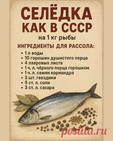 Пин на доске Рыбы