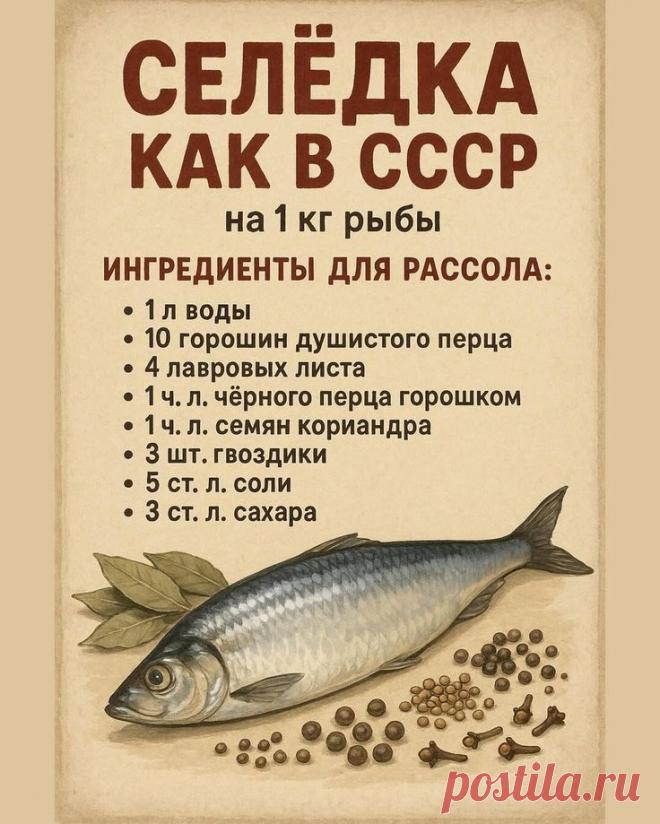 Пин на доске Рыбы