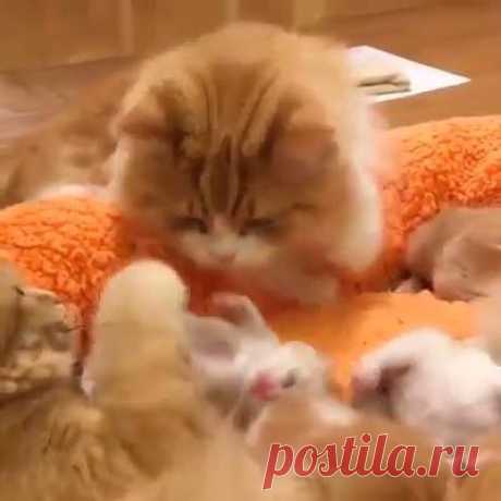 (19) Facebook
