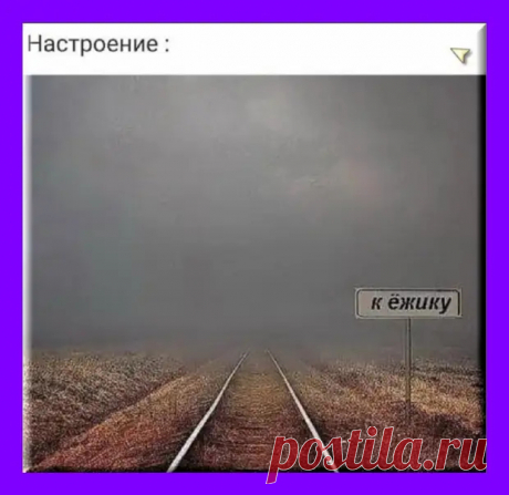 Женщина стремится вступить в брак, пока ещё кому-то нравится, а мужчина - когда уже не нравится никому - РЖАКА - медиаплатформа МирТесен