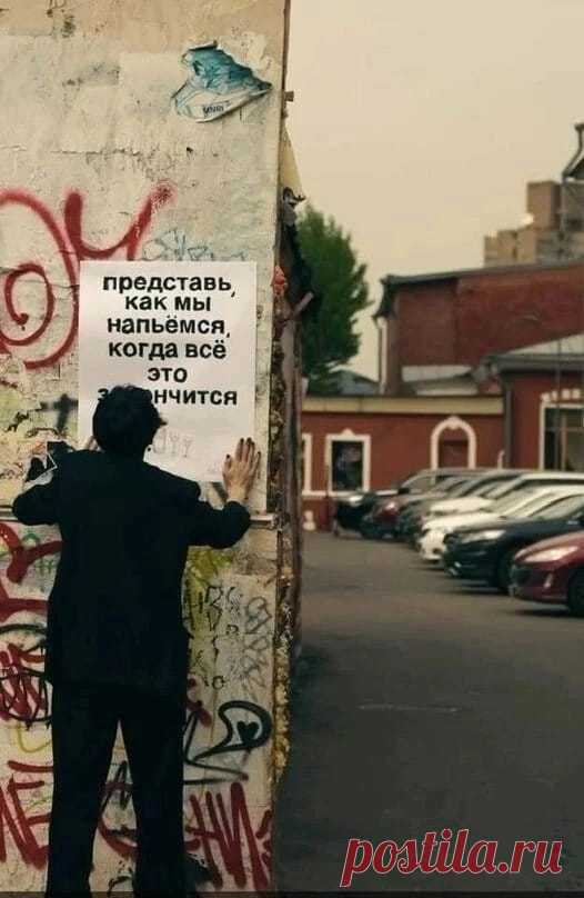 Свобода 2024