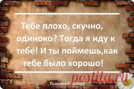 ✔ Ромашки в Экстазе