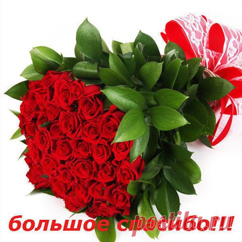 getImage (480×480)