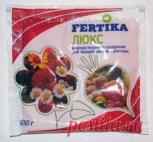 Как, чем и когда удобрять ахименесы? | Ахименес ✿ Уход за ахименесами ✿ Фото сортов
