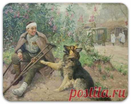 Собаки на войне / Питомцы