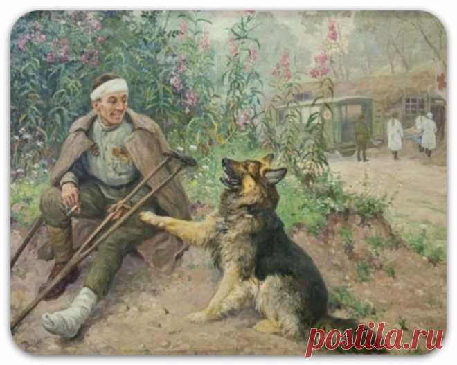 Собаки на войне / Питомцы