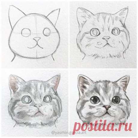 Рисуем животных