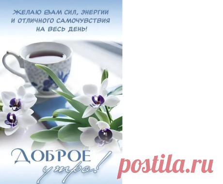 Выпуск №7004 - выпуск анекдотов сайта вокруг смеха