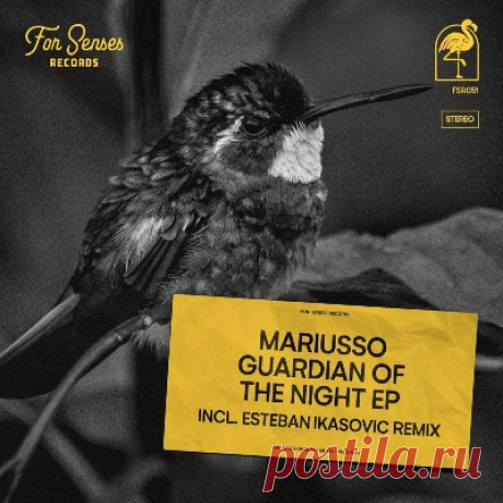 Mariusso – Guardian of the Night