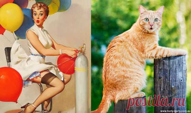 Арт-проект «Cats That Look Like Pin Up Girls».