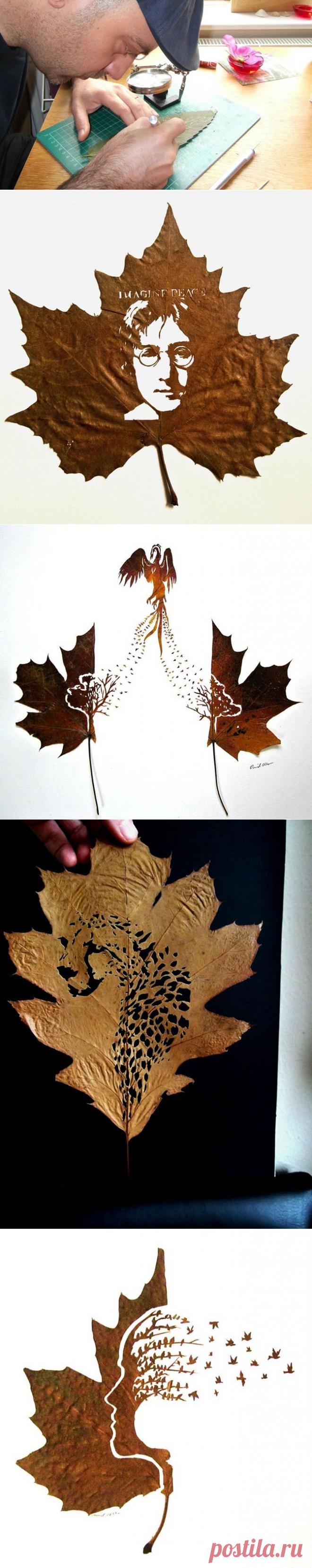 Картины из опавших листьев