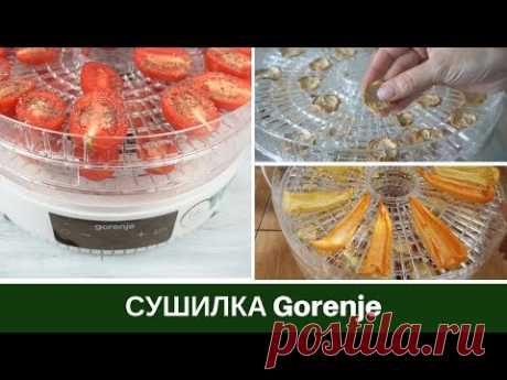 Обзор: Сушилка Для Овощей Gorenje FDK500GCW Мой Отзыв + Примеры