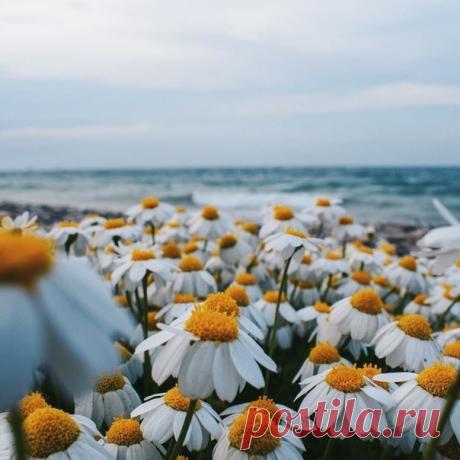 КАКОЙ СЕГОДНЯ ПРАЗДНИК? 7 Июня 2018 г. – Четверг • День кувыркальщиков • День незнакомой кофейни • День краудфандинга3 года • День принятия Конституции Республики Алтай21 год • День журналиста - Аргентина • Национальный день шоколадного мороженого - США • День Республики - Испания • День мучеников - Мальта • День финансовых и экономических работников - Кыргызстан • День расторжения унии со Швецией - Норвегия • День флага - Перу • День хорватской дипломатии • Именины у Ферапонта, Ивана,…