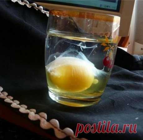 Практика самодиагностики: есть ли у тебя порча