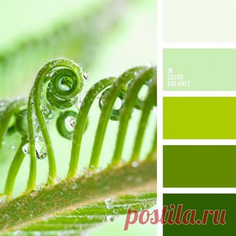 Цветовые сочетания
Контрастные тона