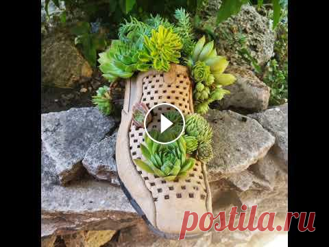 Композиция из суккулентов в необычном горшке #суккуленты #молодило #семпервивум #очиток #очитки #седум #композицияизсуккулентов...