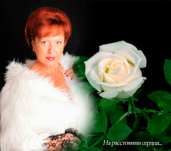 анатолий орлов - Тула, Тульская обл., Россия, 74 года на Мой Мир@Mail.ru