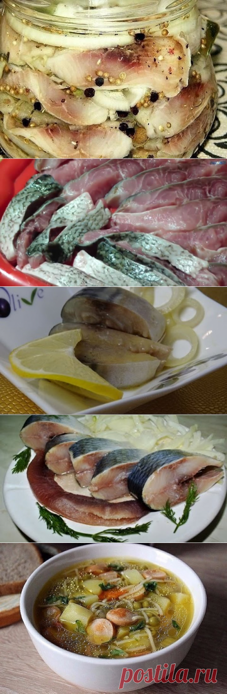 5 непрочитанных чатов