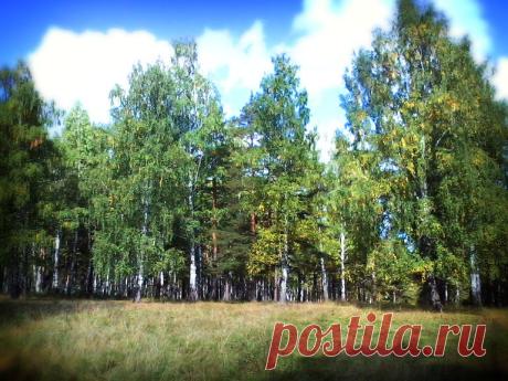 Русские красавицы