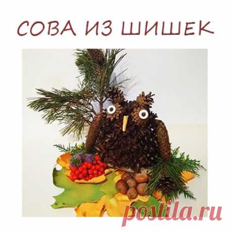 Сова из шишек: мастер-класс с пошаговым фото