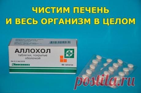 ЧИСТИМ ПЕЧЕНЬ И ВЕСЬ ОРГАНИЗМ В ЦЕЛОМ.

Программа очищения рассчитана на 14 дней, три раза в в день принимать таблетки Аллохола. 
1-й день - по 1 таблетке 3 раза в день;
2-й день - по 2 таблетке 3 раза в день;
3-й день - по 3 таблетки 3 раза в день;
4-й день - по 4 таблетки 3 раза в день; 
5-й день - по 5 таблеток 3 раза в день;
6-й день - по 6 таблеток 3 раза в день;
7-й день - по 7 таблеток 3 раза в день;
8-й день - по 7 таблеток 3 раза в день, далее по-убывающей,
9-й де...