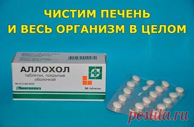 ЧИСТИМ ПЕЧЕНЬ И ВЕСЬ ОРГАНИЗМ В ЦЕЛОМ.

Программа очищения рассчитана на 14 дней, три раза в в день принимать таблетки Аллохола. 
1-й день - по 1 таблетке 3 раза в день;
2-й день - по 2 таблетке 3 раза в день;
3-й день - по 3 таблетки 3 раза в день;
4-й день - по 4 таблетки 3 раза в день; 
5-й день - по 5 таблеток 3 раза в день;
6-й день - по 6 таблеток 3 раза в день;
7-й день - по 7 таблеток 3 раза в день;
8-й день - по 7 таблеток 3 раза в день, далее по-убывающей,
9-й де...
